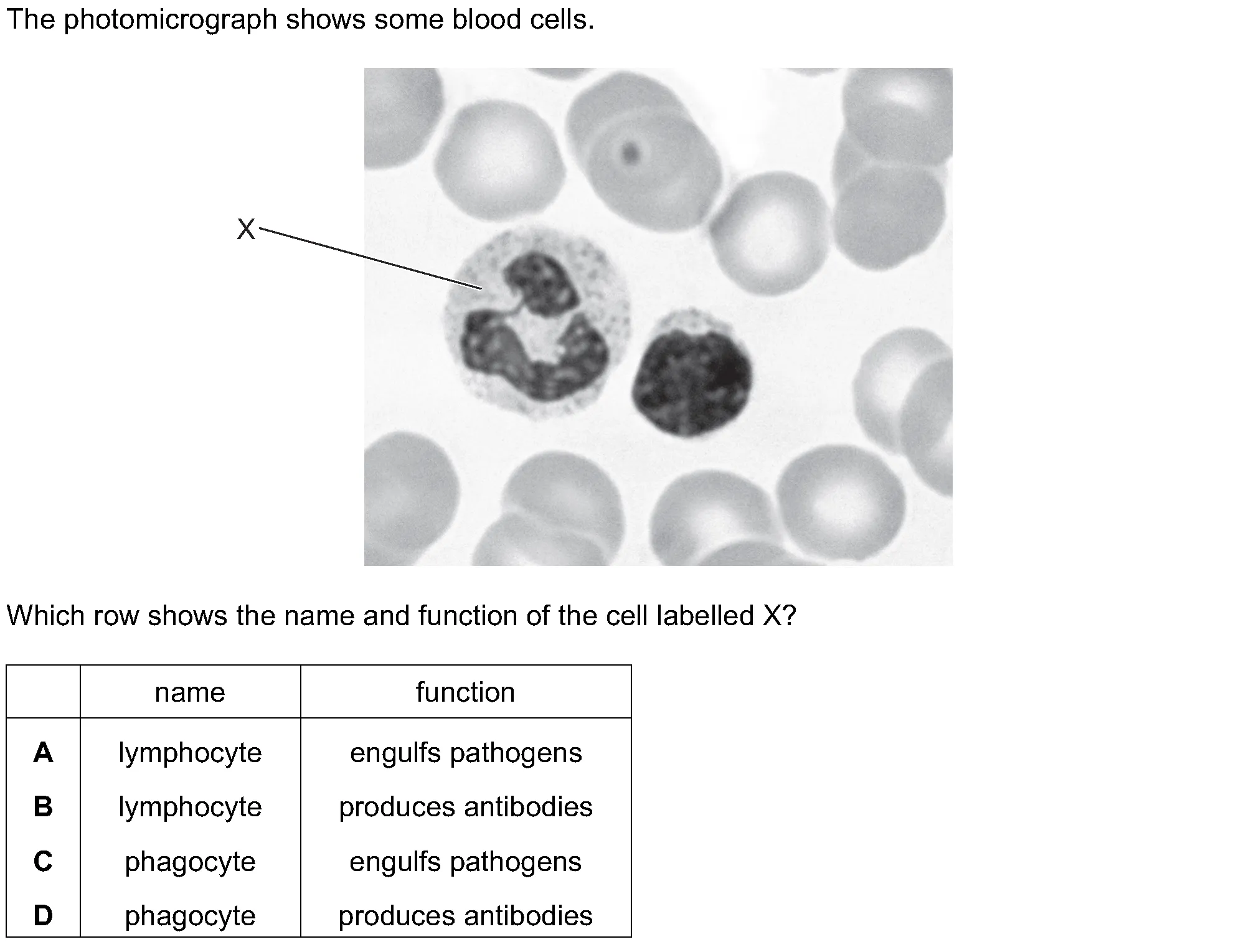 Checkpoint quiz multiple-choice question 4