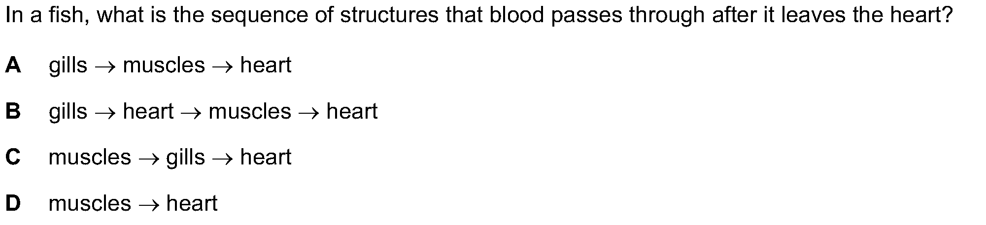 Checkpoint quiz multiple-choice question 2