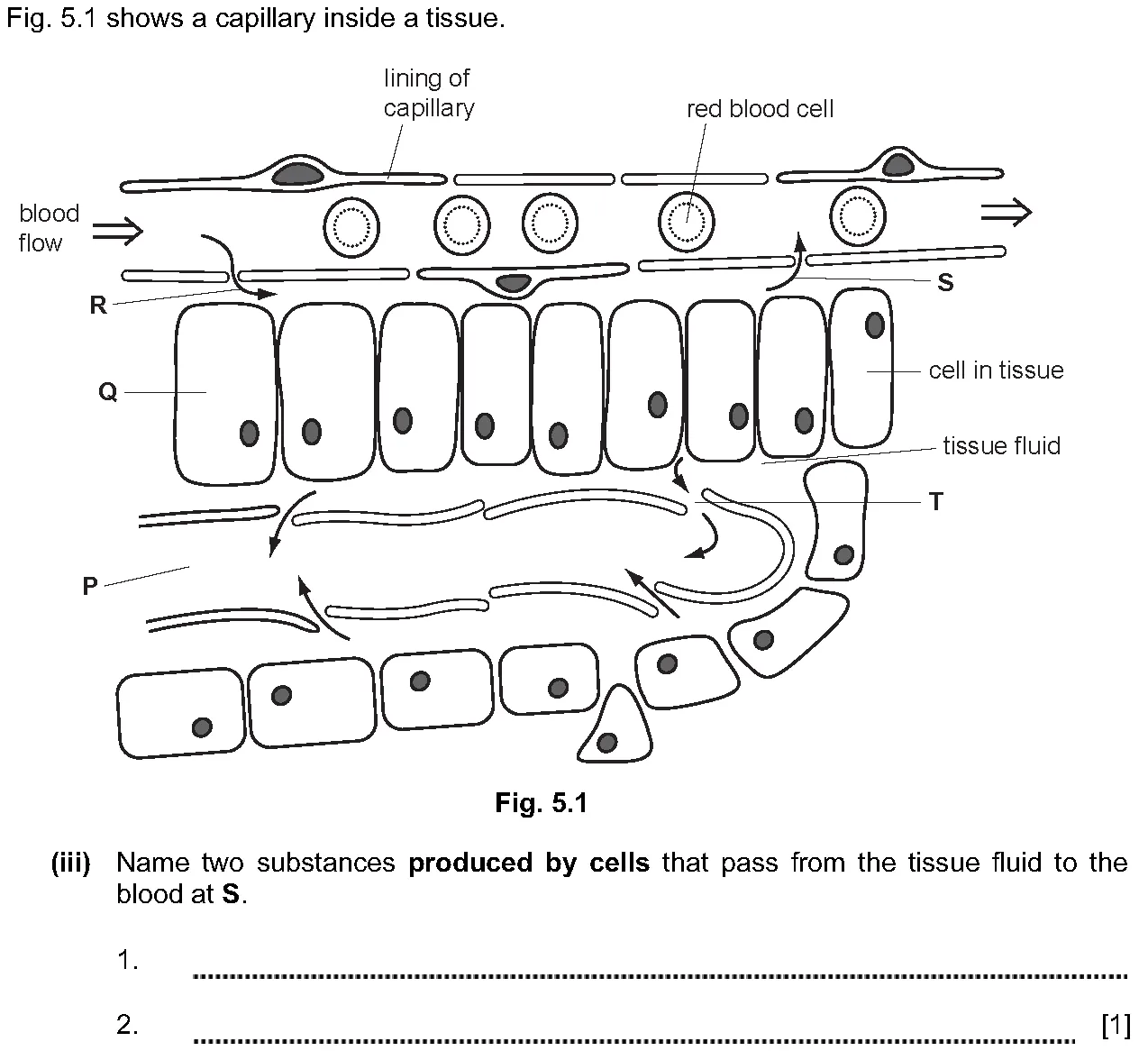 Checkpoint quiz written question 1 (a)(iii)
