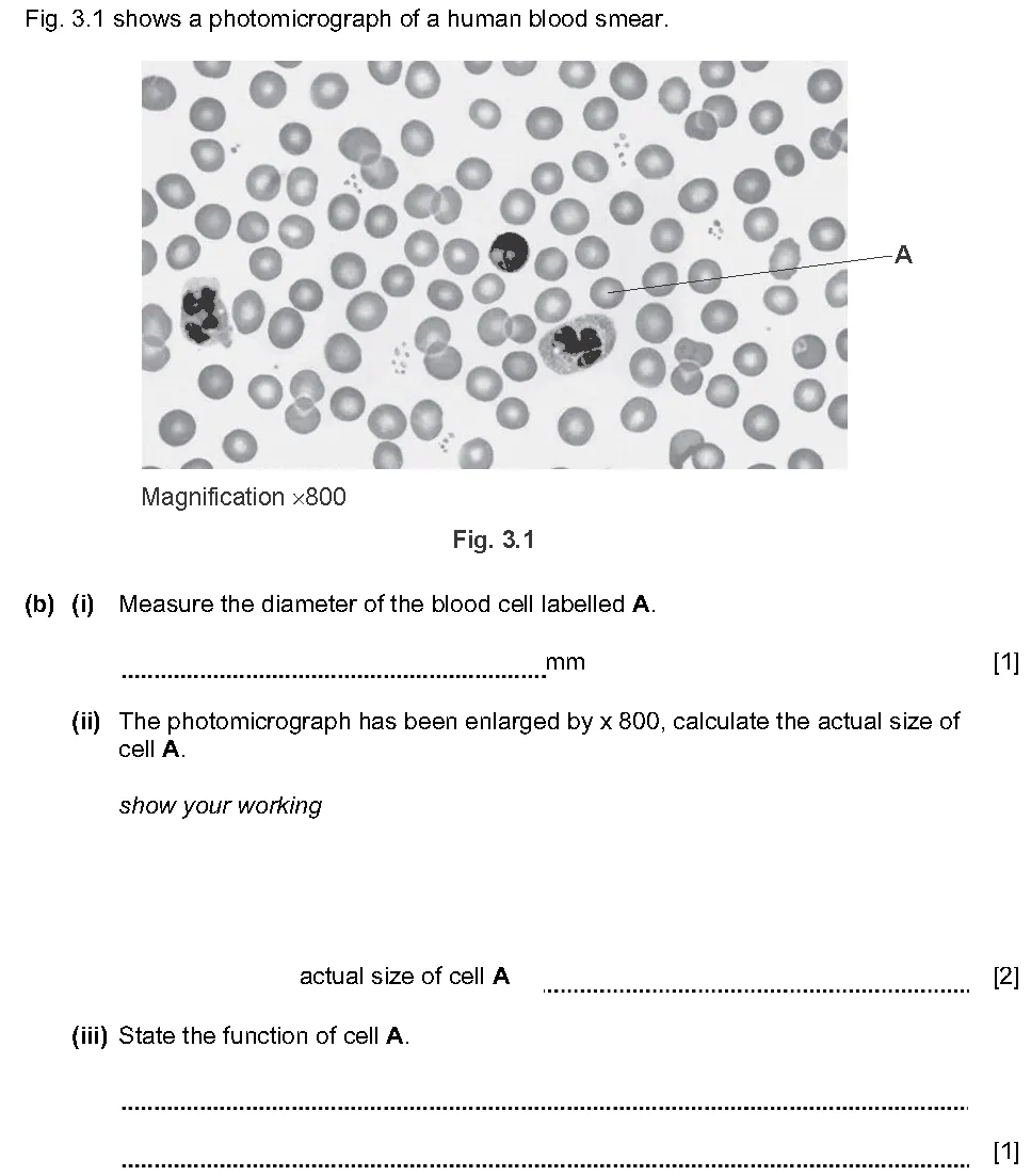 Checkpoint quiz written question 2 (b)(i)