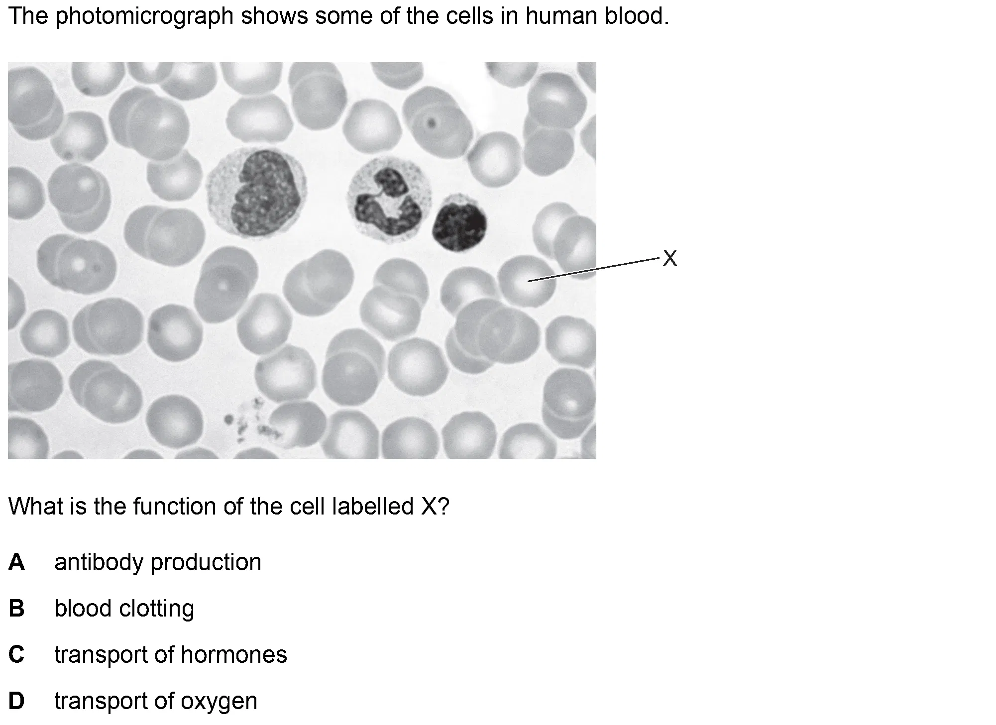 Question 1