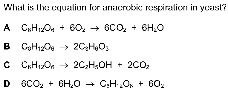 Checkpoint quiz multiple-choice question 11