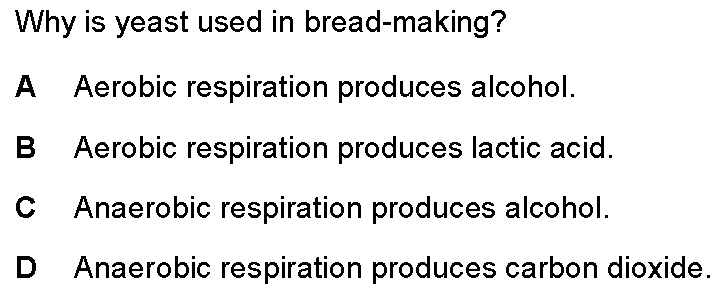 Checkpoint quiz multiple-choice question 7