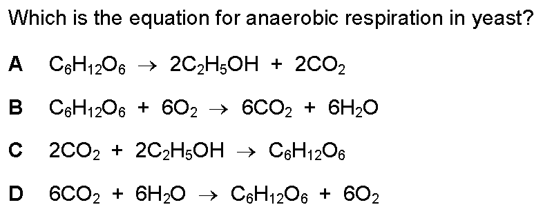 Checkpoint quiz multiple-choice question 10