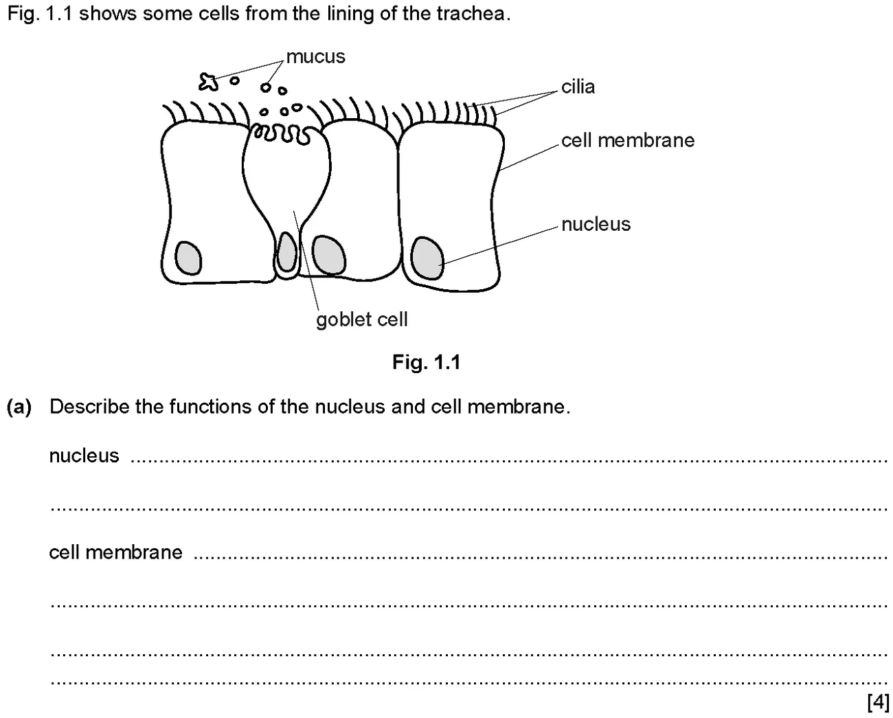 Checkpoint quiz written question 1 (a)