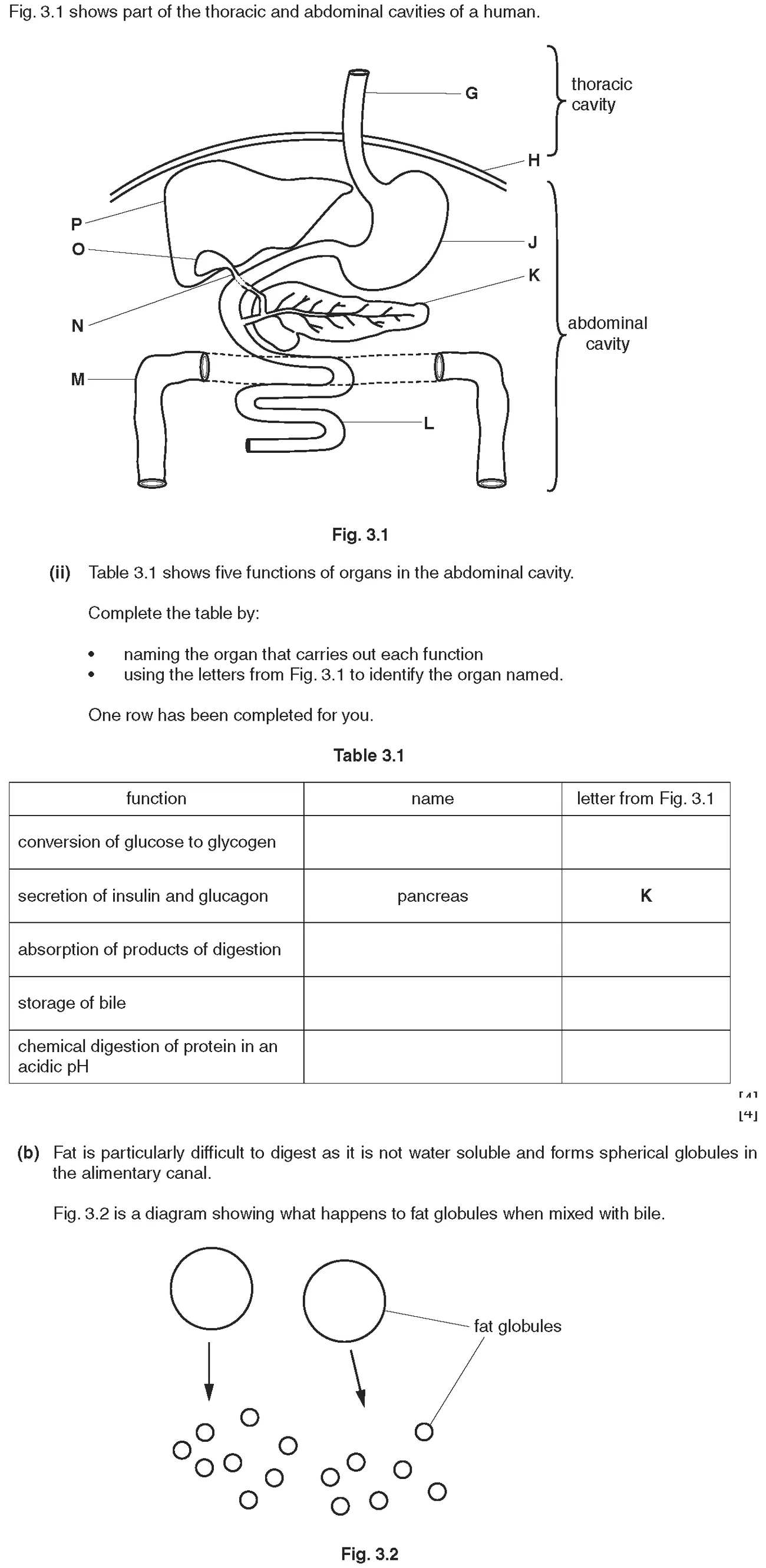 Checkpoint quiz written question 2 (a)(ii)