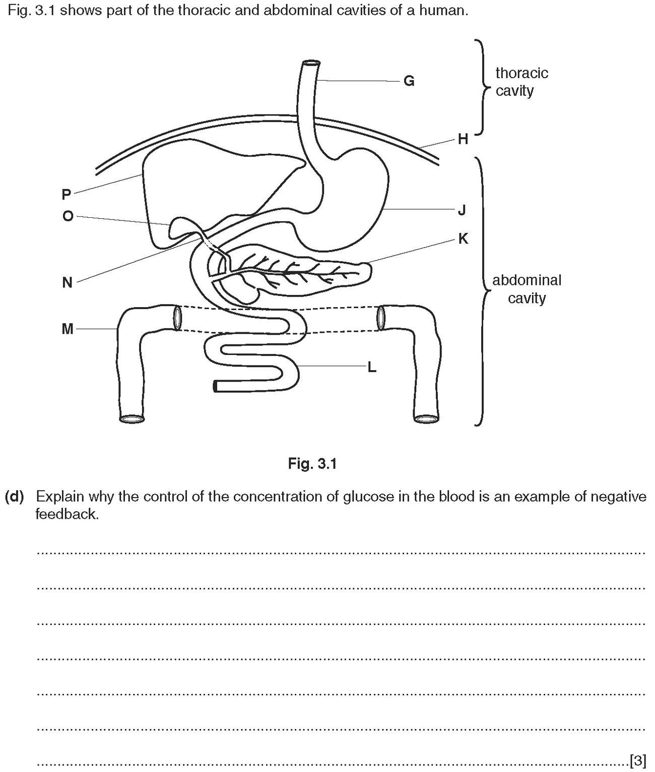 Checkpoint quiz written question 2 (d)