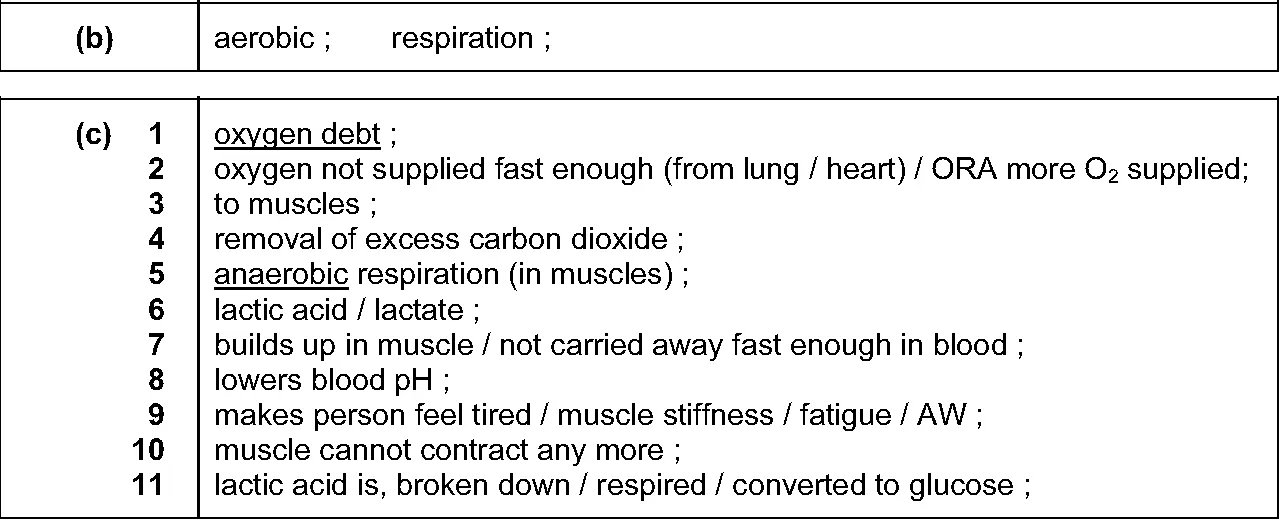Answer to written question 2 (b)