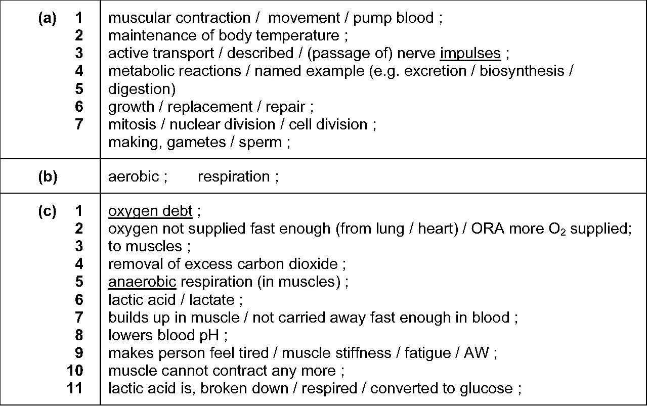 Answer to written question 2 (c)