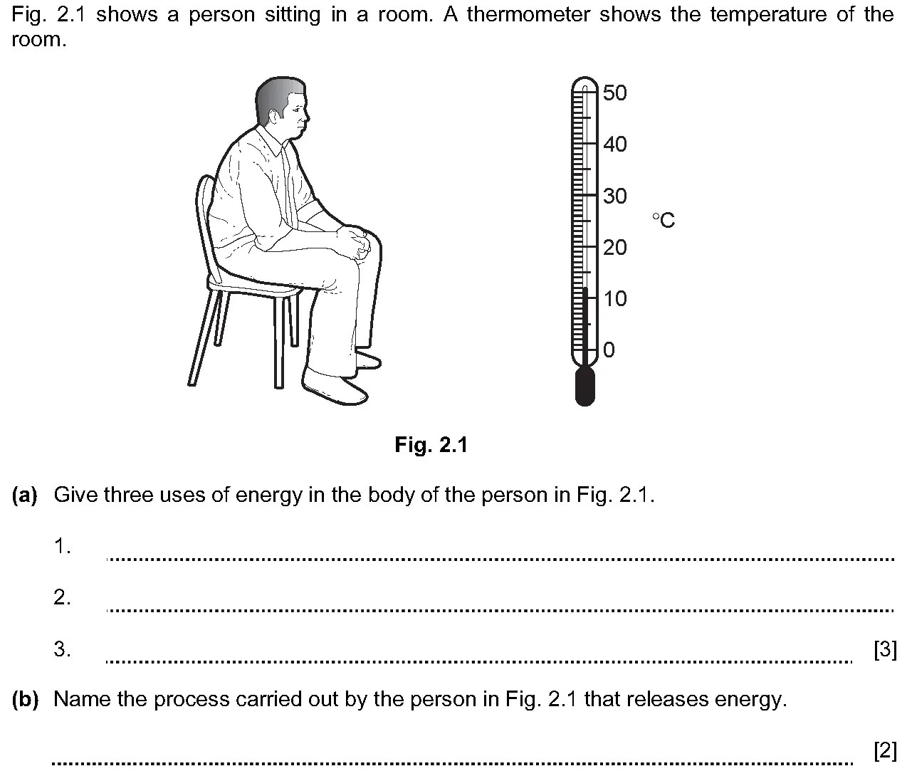 Checkpoint quiz written question 2 (b)