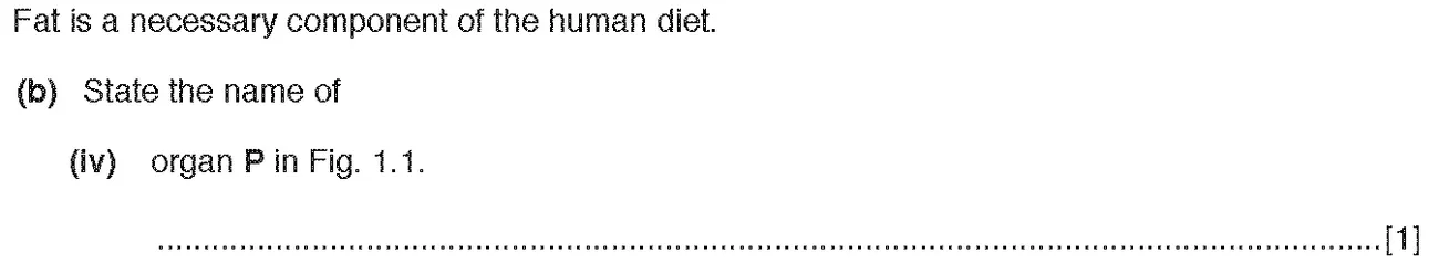 Checkpoint quiz written question 1 (b)(iv)