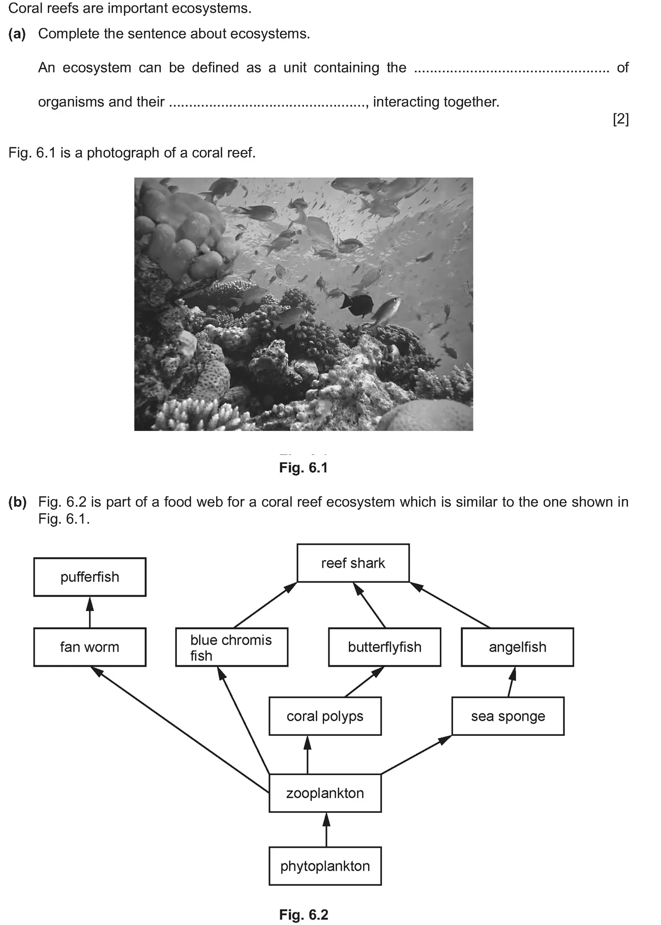 Checkpoint quiz written question 1 (a)