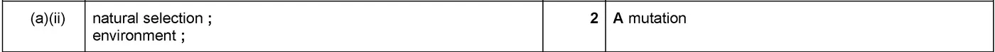 Answer to written question 1 (a)(i)