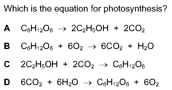 Checkpoint quiz multiple-choice question 9