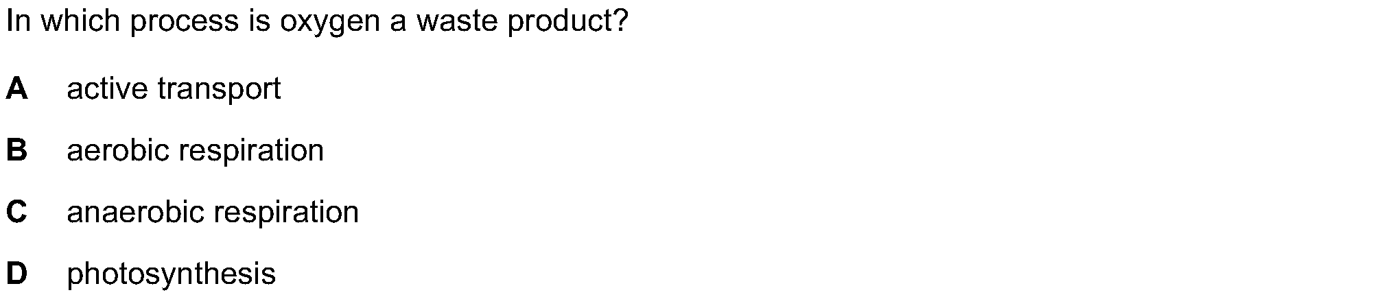 Checkpoint quiz multiple-choice question 6
