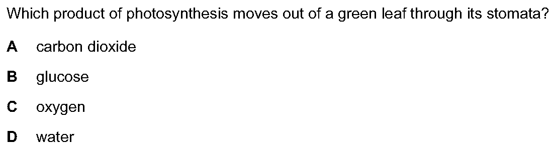 Checkpoint quiz multiple-choice question 1
