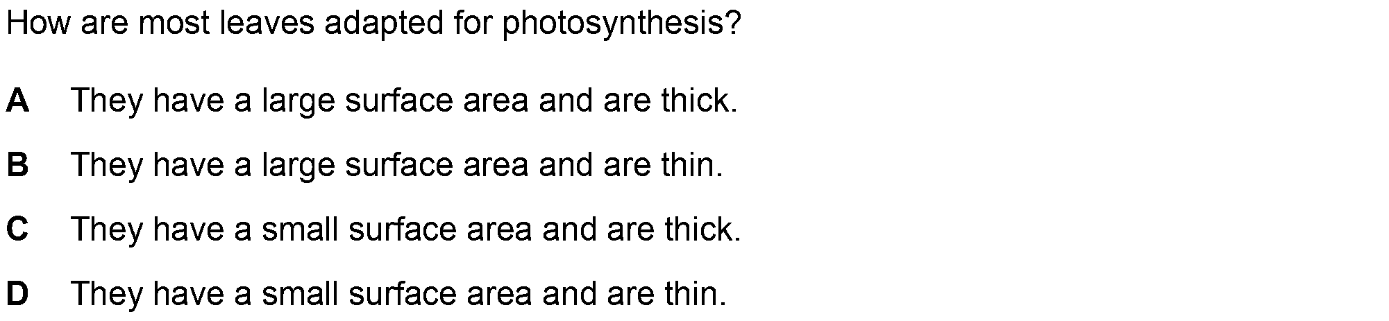 Checkpoint quiz multiple-choice question 5