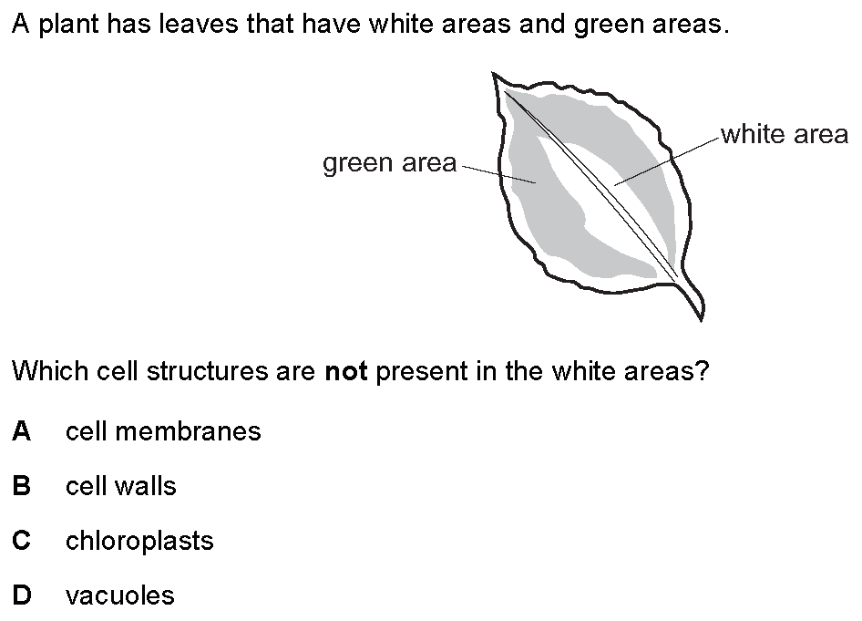 Checkpoint quiz multiple-choice question 10