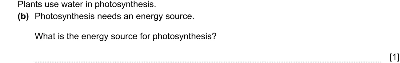 Checkpoint quiz written question 2 (b)