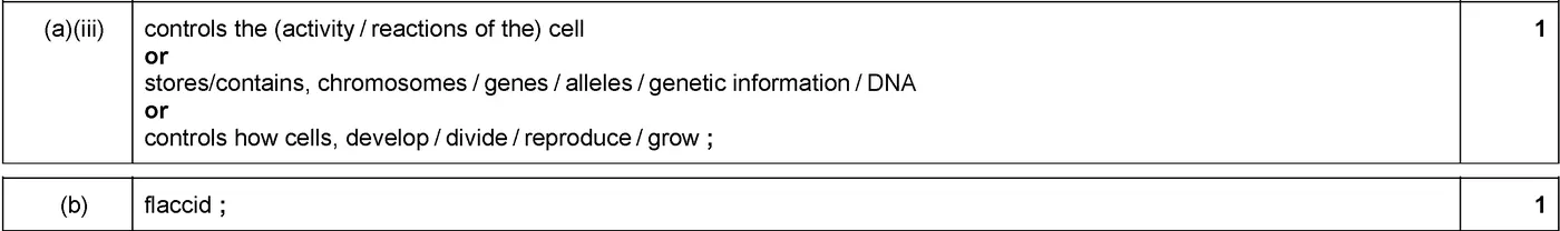 Answer to written question 2 (a)(iii)