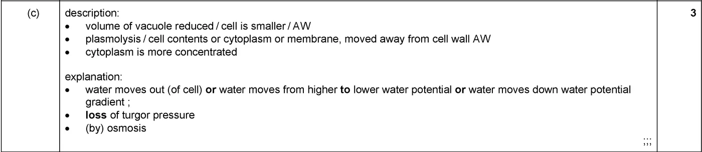 Answer to written question 2 (c)