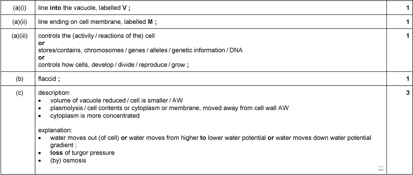 Answer to written question 2 (b)