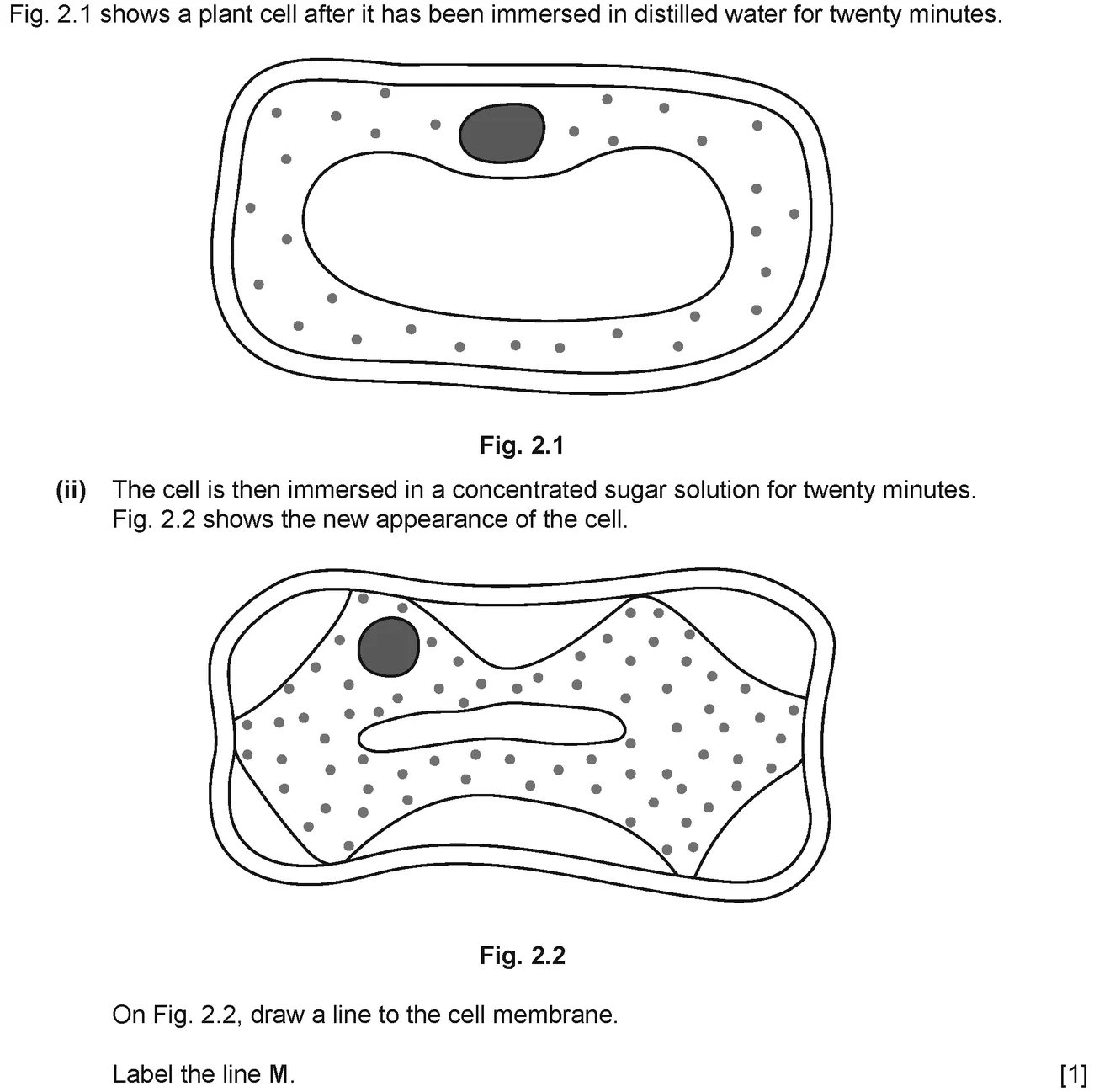 Checkpoint quiz written question 2 (a)(ii)