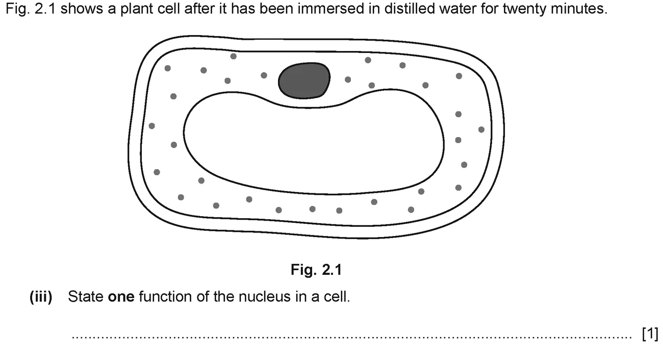Checkpoint quiz written question 2 (a)(iii)