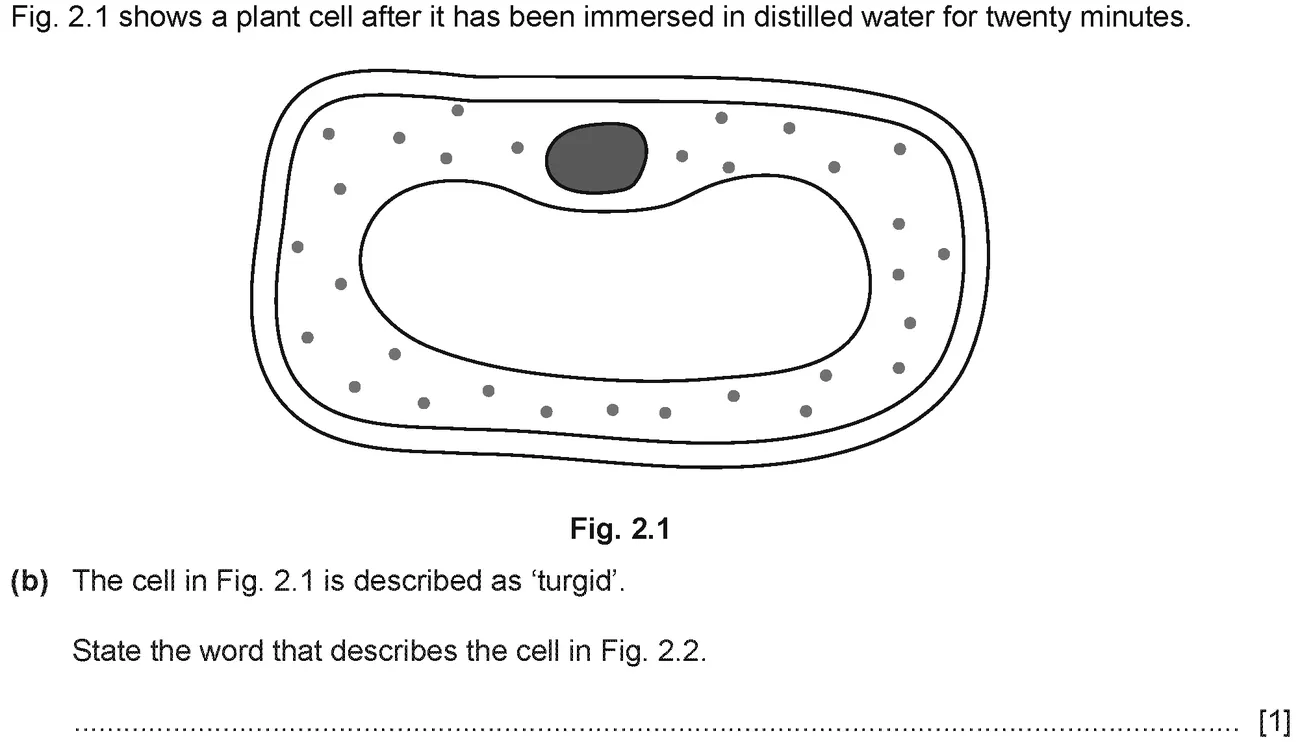 Checkpoint quiz written question 2 (b)