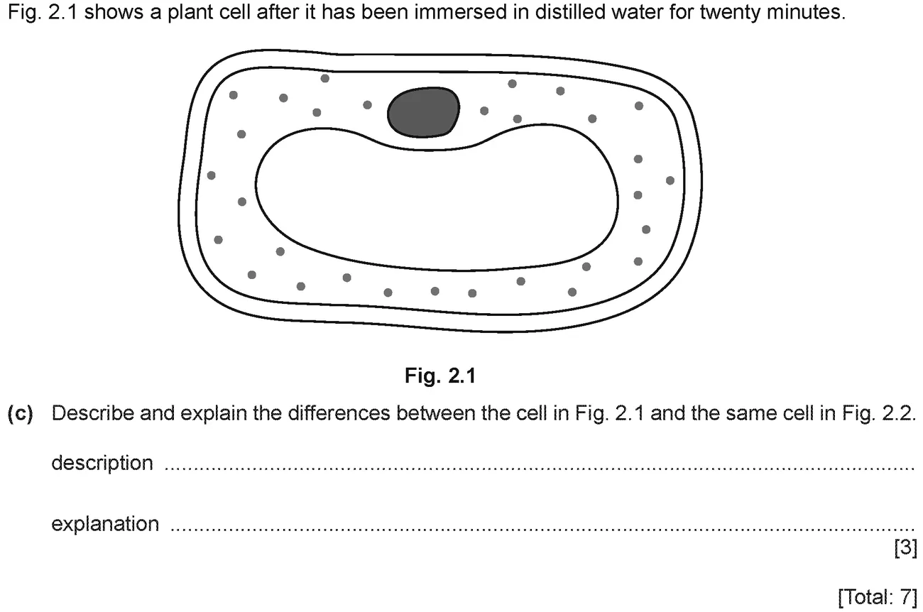Checkpoint quiz written question 2 (c)