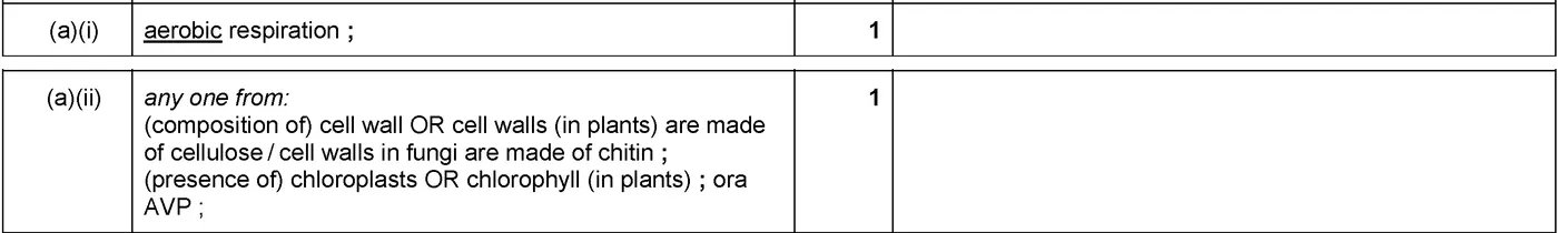 Answer to written question 1 (a)(ii)