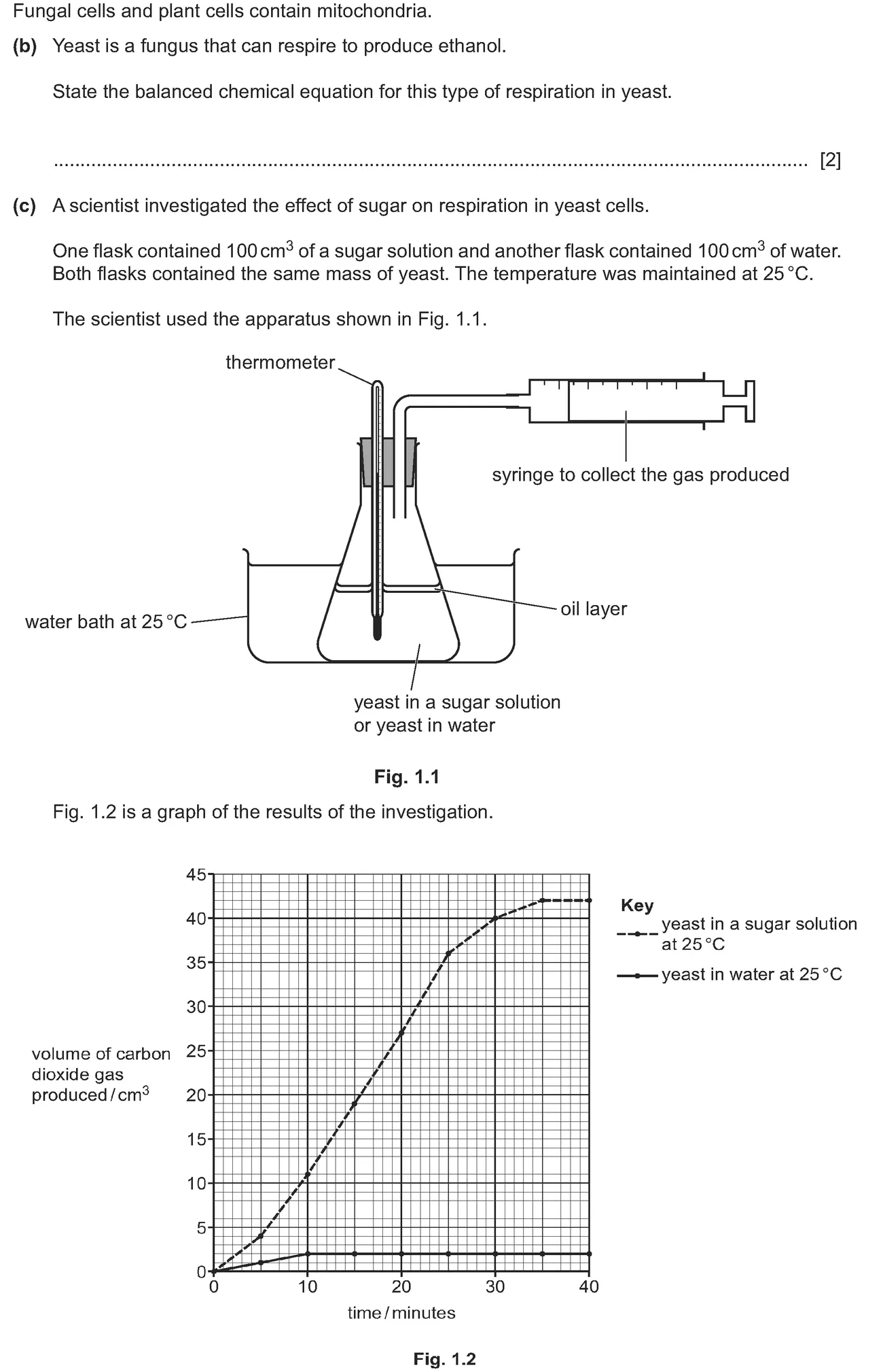 Checkpoint quiz written question 1 (b)