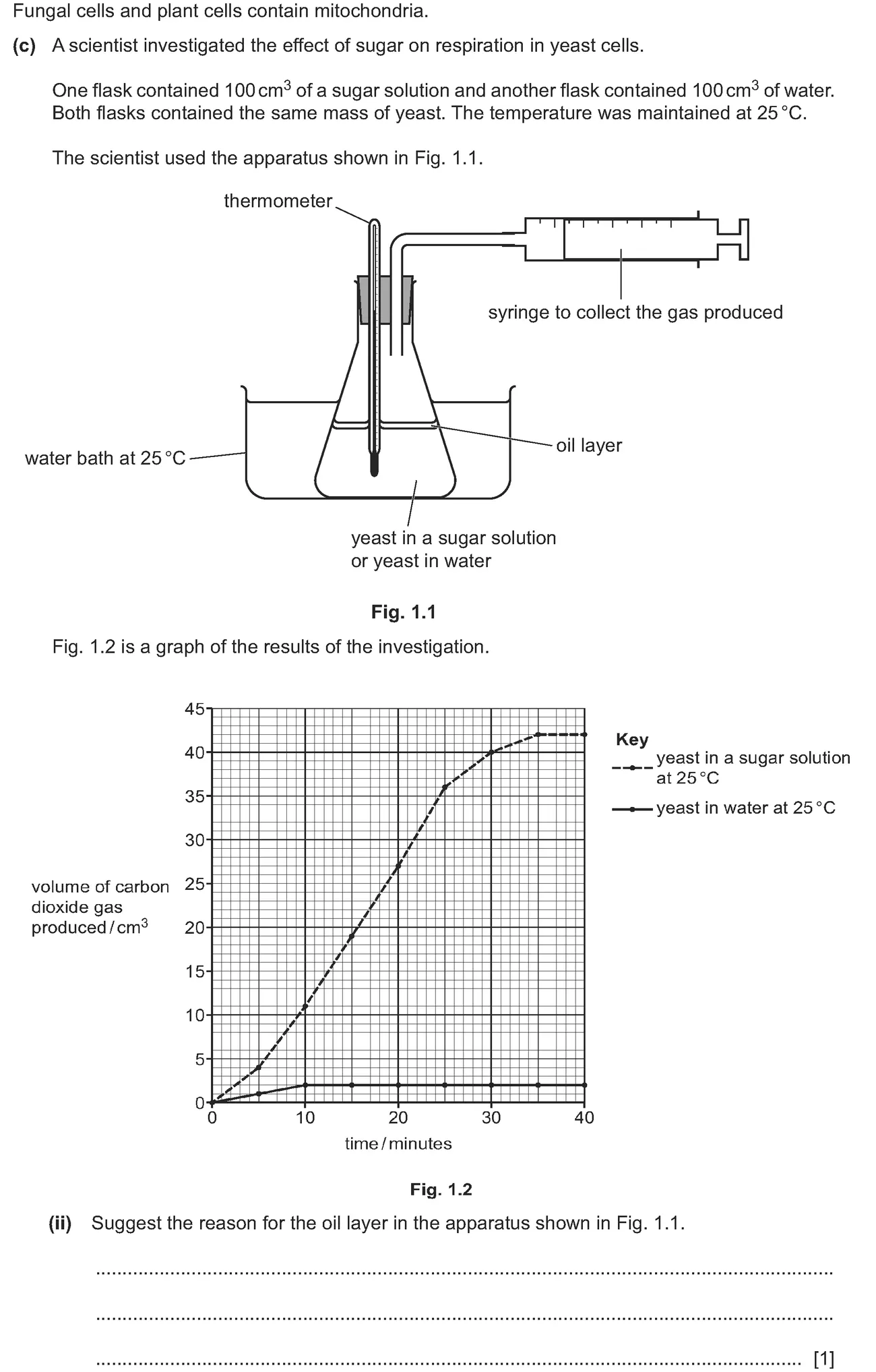 Checkpoint quiz written question 1 (c)(ii)