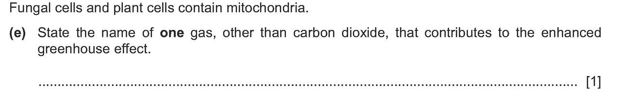 Checkpoint quiz written question 1 (e)