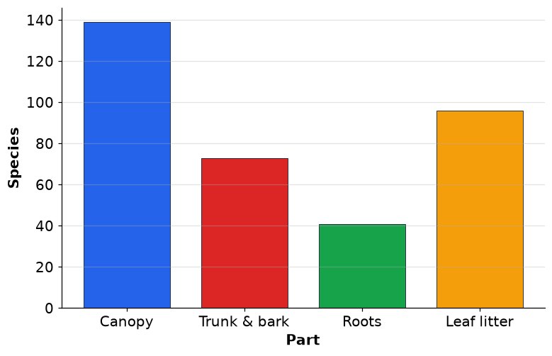 Dr Dabour Hub Academy - figure 11