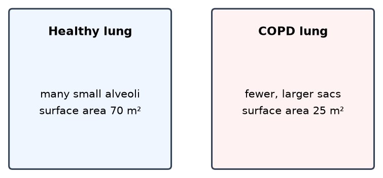 Dr Dabour Hub Academy - figure 2