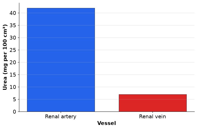 Dr Dabour Hub Academy - figure 5