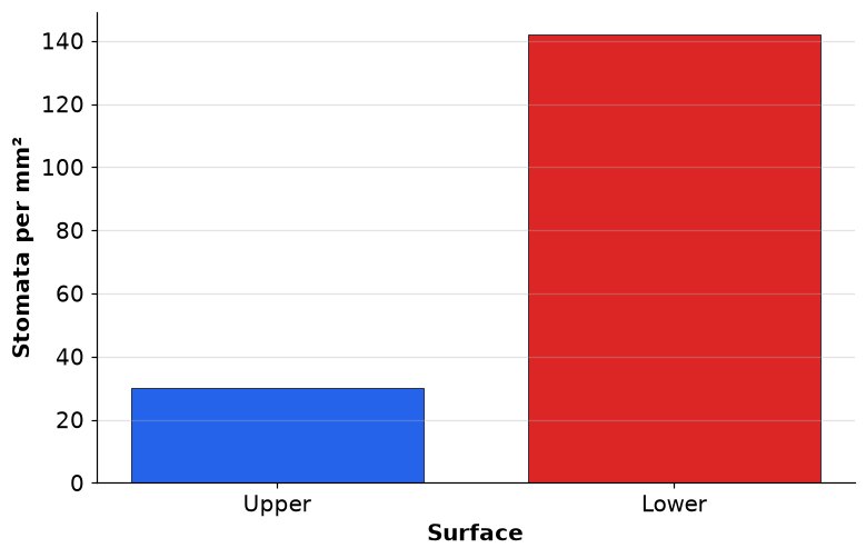 Dr Dabour Hub Academy - figure 4