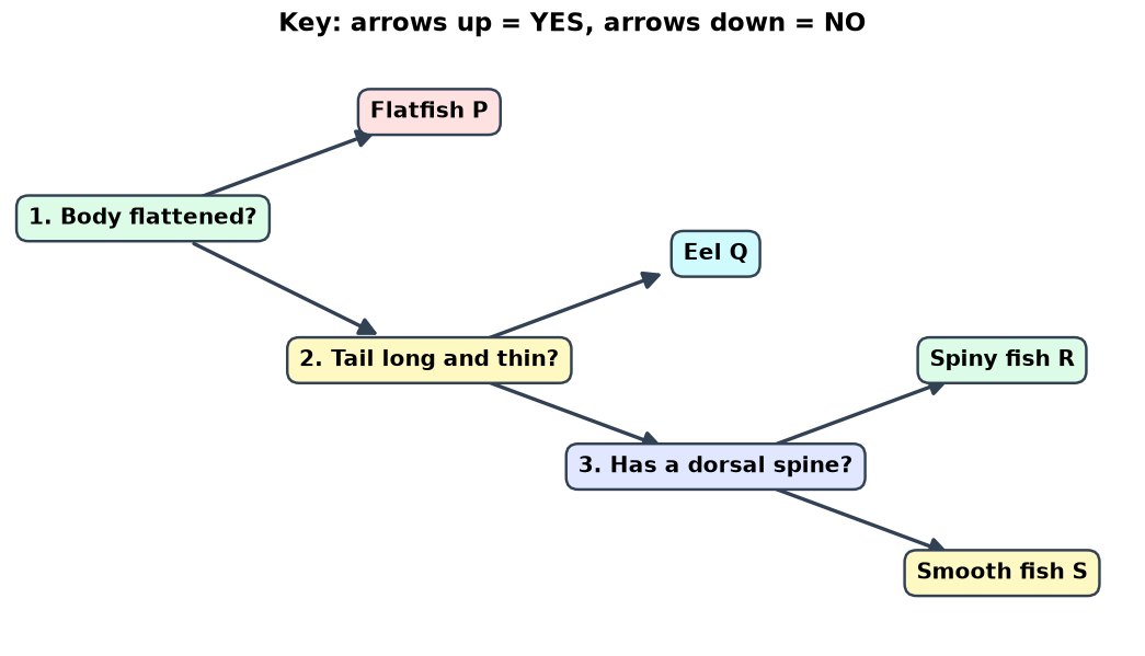 Dr Dabour Hub Academy - figure 16