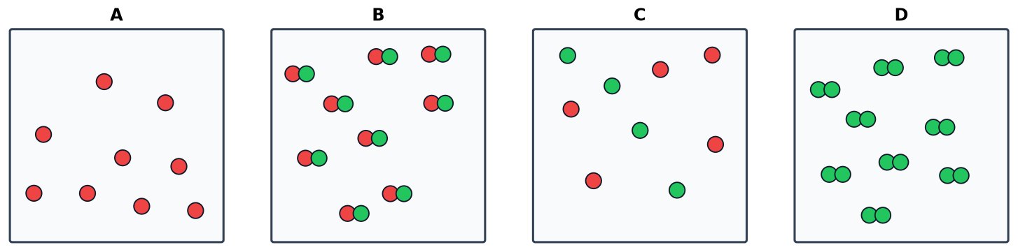 Dr Dabour Hub Academy - figure 2