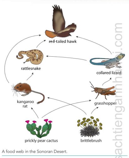 Dr Dabour Hub Academy - figure 1
