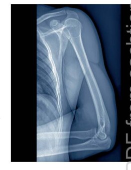 Dr Dabour Hub Academy - figure 1