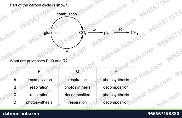 IGCSE Chemistry 10.3 Unit 10.3 - Question 10
