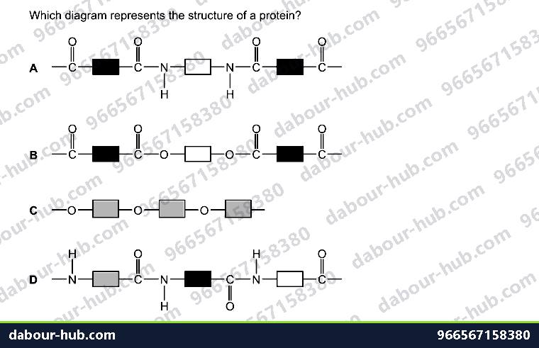 IGCSE Chemistry 11.8 Polymers - Question 9
