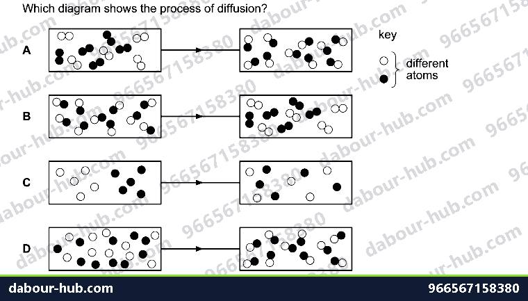 IGCSE Chemistry 1.5 Diffusion - Question 1