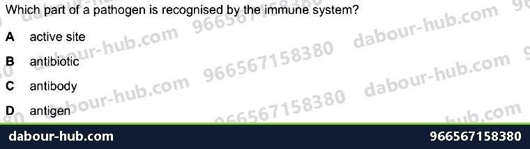 IGCSE Biology 10.1 Antibody - Question 1