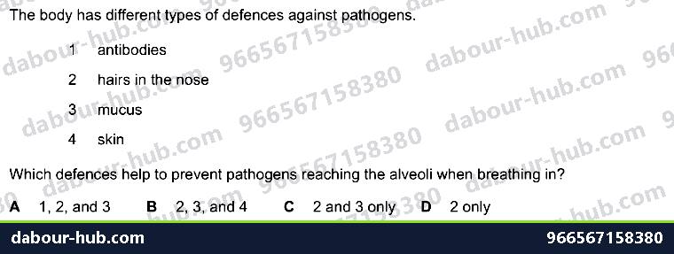 IGCSE Biology 10.1 Antibody - Question 11