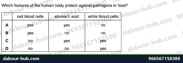 IGCSE Biology 10.1 Antibody - Question 16