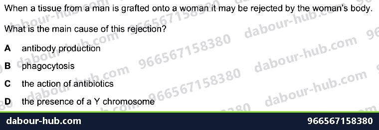 IGCSE Biology 10.1 Antibody - Question 2