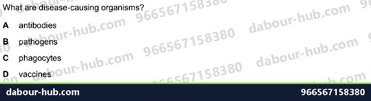 IGCSE Biology 10.1 Antibody - Question 3